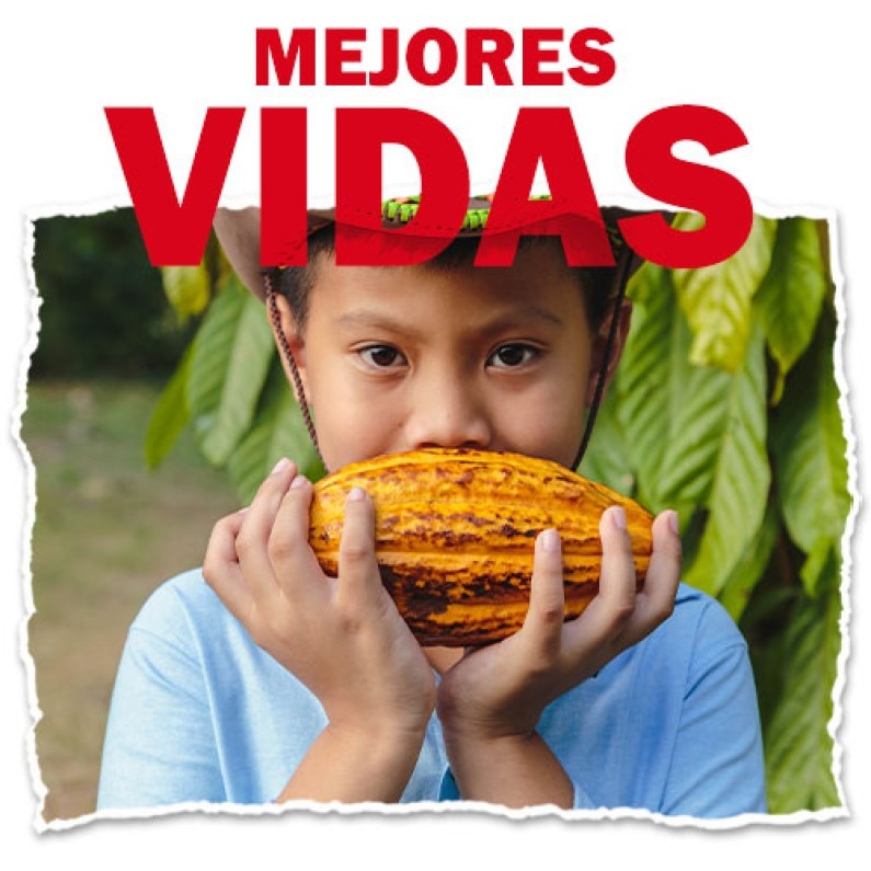 Mejores Vidas