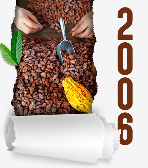 2006