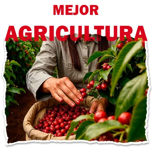 Mejor Agricultura